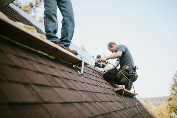 Best Metal Roofing Contractor  in Rockfish, NC